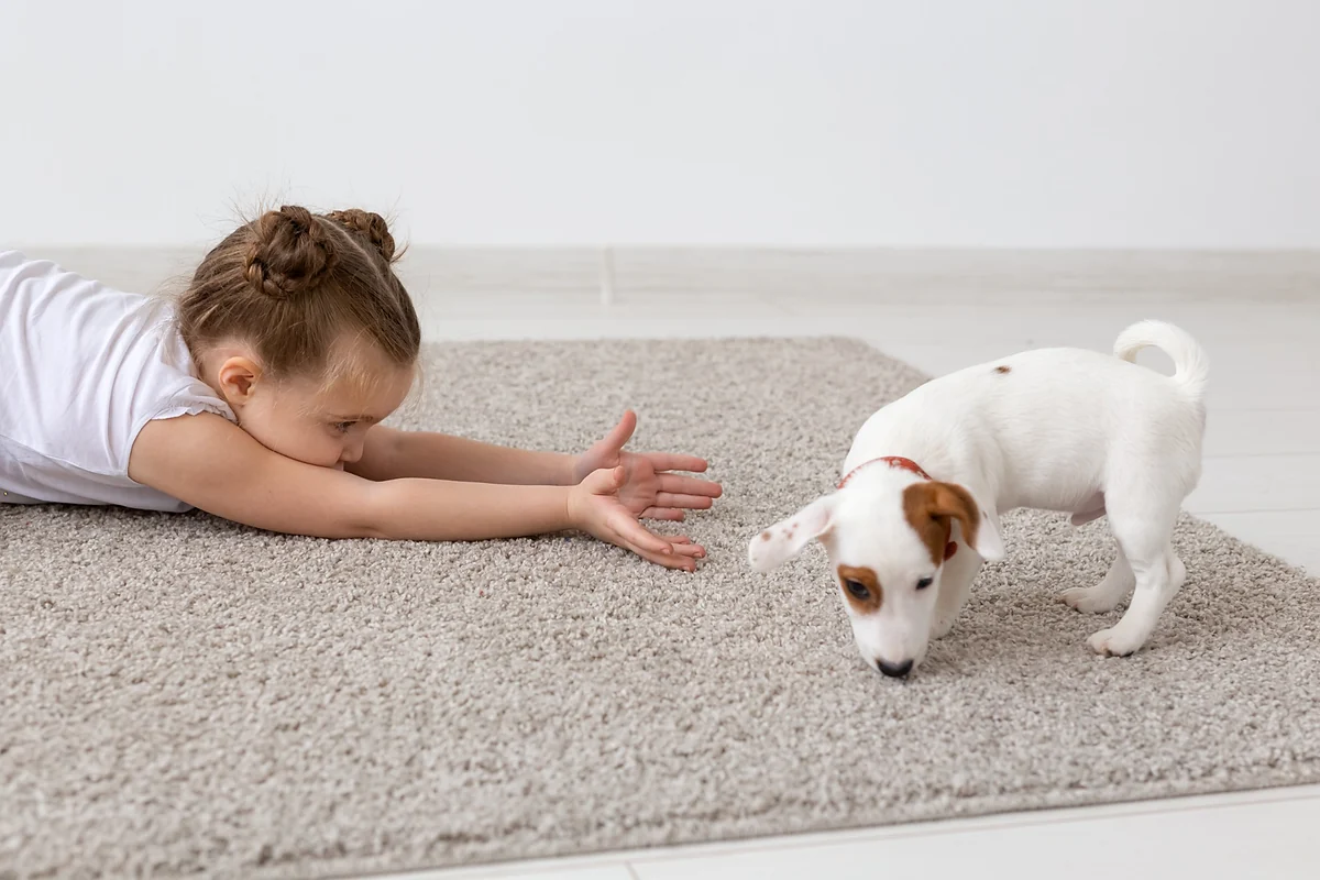 Criança brincando com cachorro em tapete